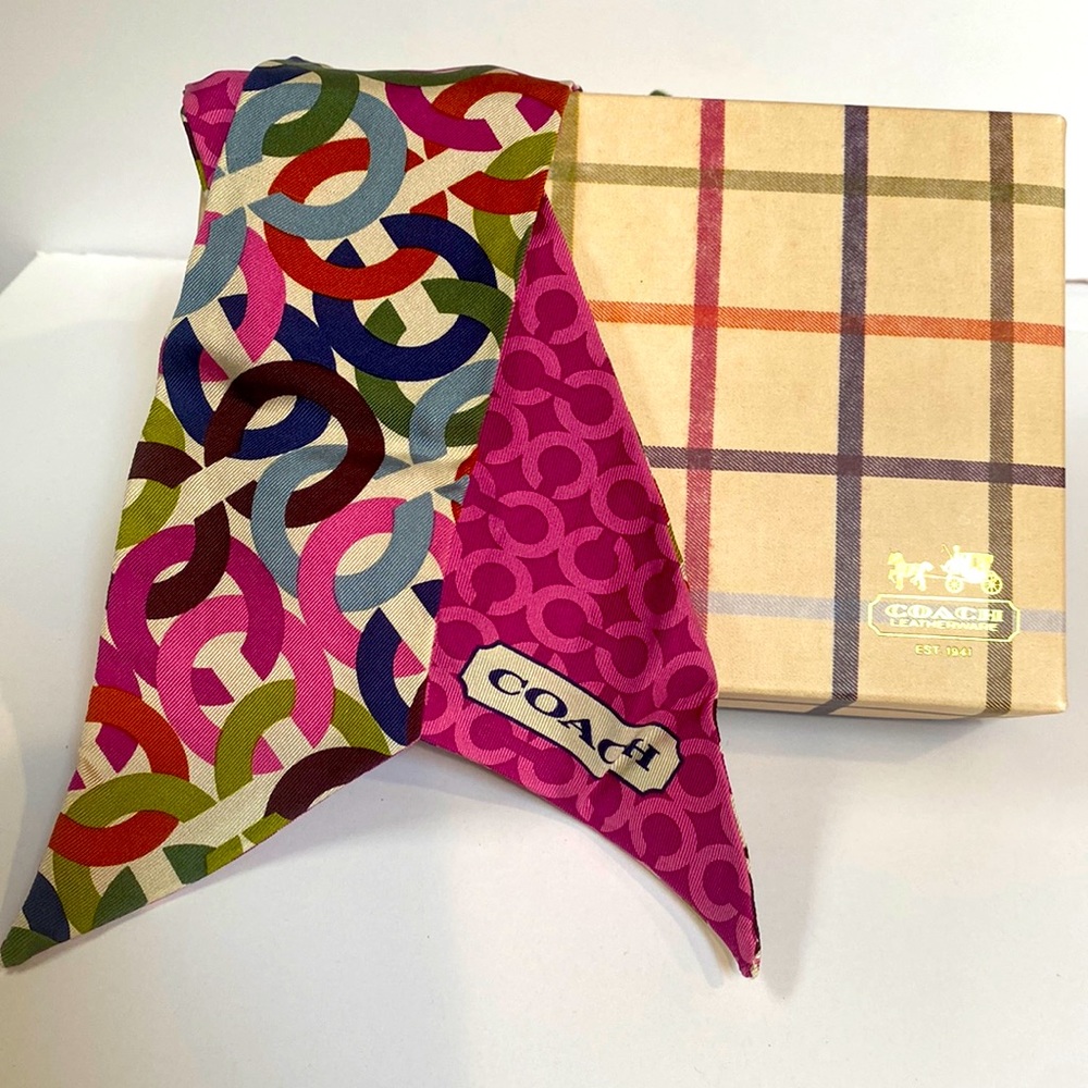Coach ponytail scarf